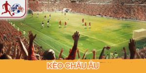 Kèo châu Âu 1x2 đơn giản, dễ chơi và minh bạch cho người mới