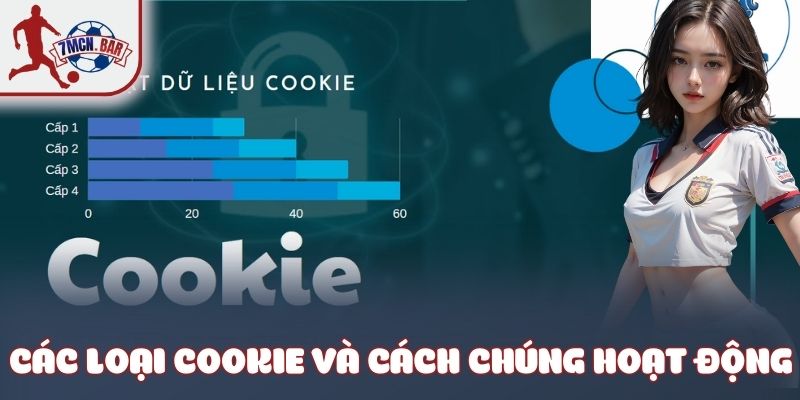 Các loại cookie và cách chúng hoạt động