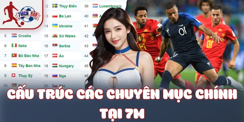 Cấu trúc các chuyên mục chính tại 7M