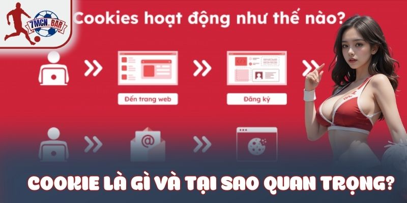 Cookie là gì và tại sao quan trọng?